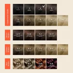 رنگ مو فیتو BROWN شماره 4