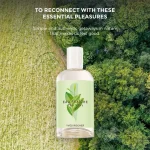 ادکلن زنانه ایوروشه مدل The vert حجم 100 میلی لیتری