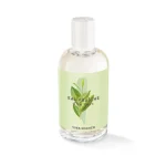 ادکلن زنانه ایوروشه مدل The vert حجم 100 میلی لیتری