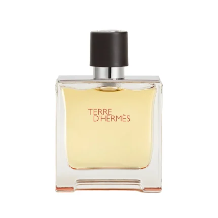 ادکلن مردانه هرمس مدل TERRE D'HERMES حجم 100 میلی لیتری