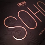 پالت سایه چشم پیپا SOHO شماره 351